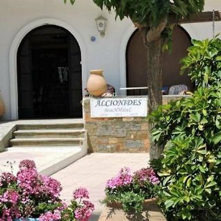 Alkyonides Beach Hotel Μάλια Εξωτερικό φωτογραφία